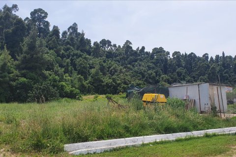 2000m² Land in Chalkidiki, Greece No. 56558 2