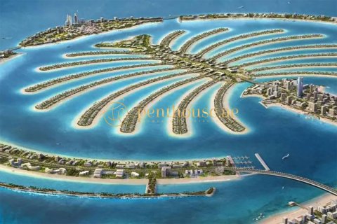 2510m² Land in Phong Khe, Vietnam No. 94379 5