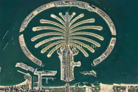 2510m² Land in Phong Khe, Vietnam No. 94379 3