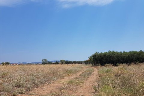 8687m² Land in Polygyros, Greece No. 57042 2