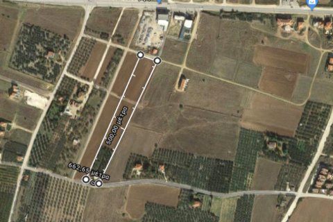 8687m² Land in Polygyros, Greece No. 57042 4