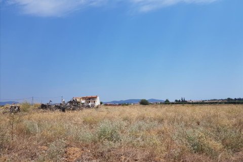 8687m² Land in Polygyros, Greece No. 57042 3