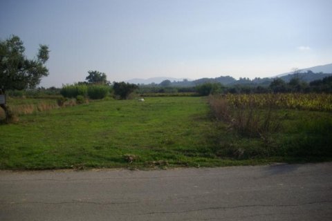 Land en Zakynthos, Greece No. 24774 1