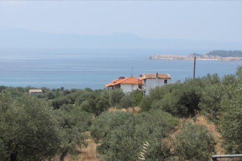 4078m² Land en Chalkidiki, Greece No. 54370 2