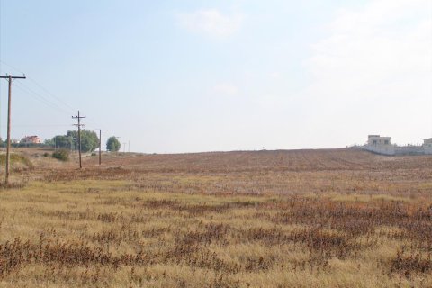 15217m² Land en Chalkidiki, Greece No. 60596 4