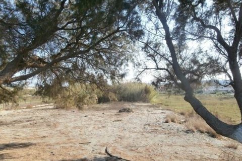 4665m² Land in Chania, Greece No. 45258 11