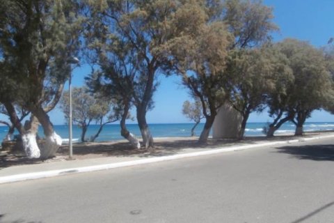 4665m² Land in Chania, Greece No. 45258 3