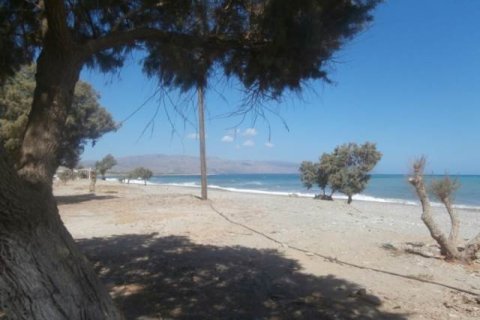 4665m² Land in Chania, Greece No. 45258 6
