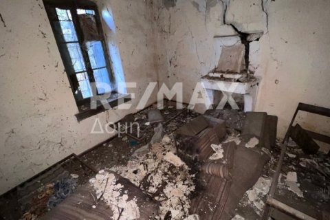 366m² House in Mouresi, Greece No. 27987 9