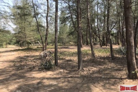 48000m² Land à Phang Nga, Thailand No. 95956 13
