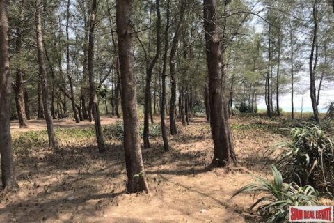 48000m² Land à Phang Nga, Thailand No. 95956 11