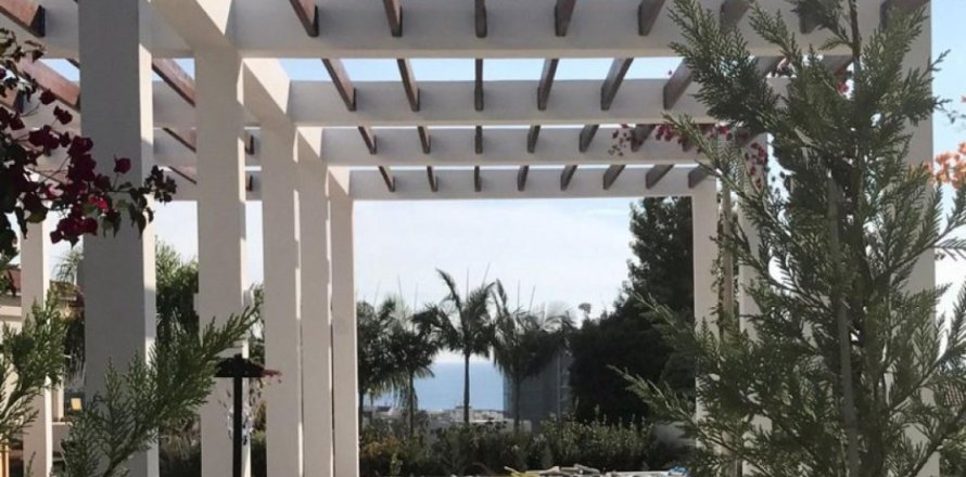 Studio Villa à Limassol, Cyprus No. 105290