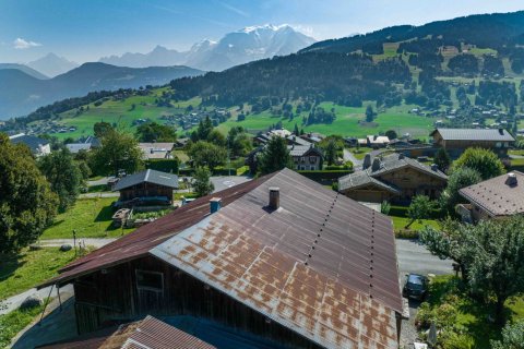 520m² House in Demi-Quartier, France No. 99610 4