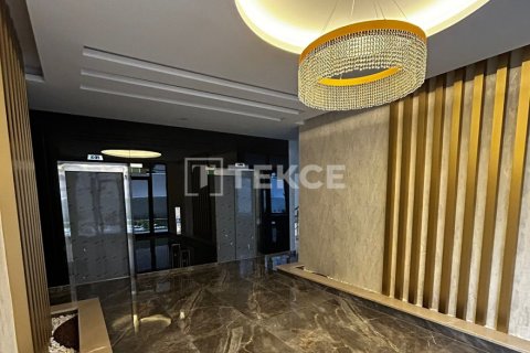 2 chambres Penthouse à Chau Lang, Vietnam No. 21299 11