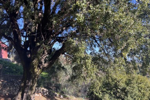 2 bedrooms Commercial property in Chania, Greece No. 79501 23