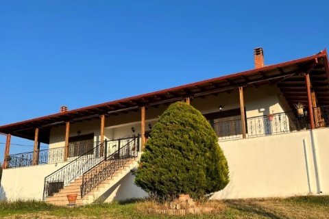 350m² House in Polygyros, Greece No. 107461 7