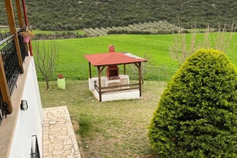 350m² House in Polygyros, Greece No. 107461 23