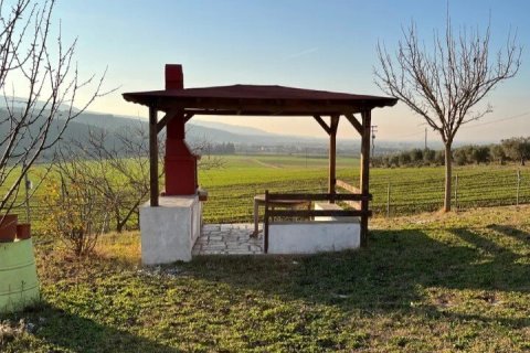 350m² House in Polygyros, Greece No. 107461 22