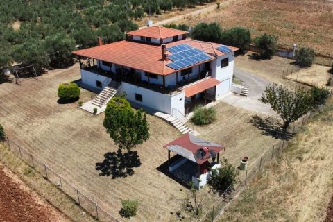 350m² House in Polygyros, Greece No. 107461 1