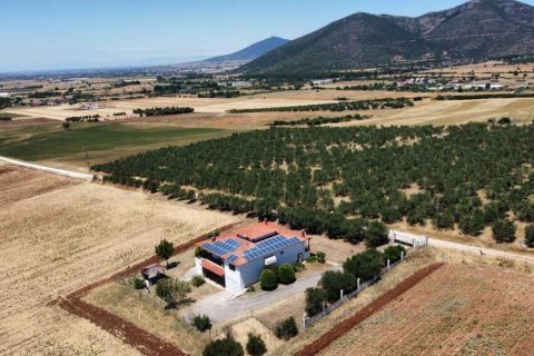 350m² House in Polygyros, Greece No. 107461 3