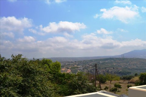 475m² Bâtiment à Heraklion, Greece No. 58531 8