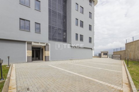 3 bedrooms Penthouse in Chau Lang, Vietnam No. 10972 23