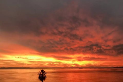 3 bedrooms Apartment in Palaio Faliro, Greece No. 55597 13