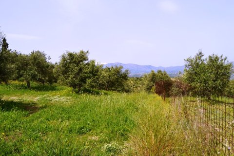 2900m² Land in Heraklion, Greece No. 57377 9