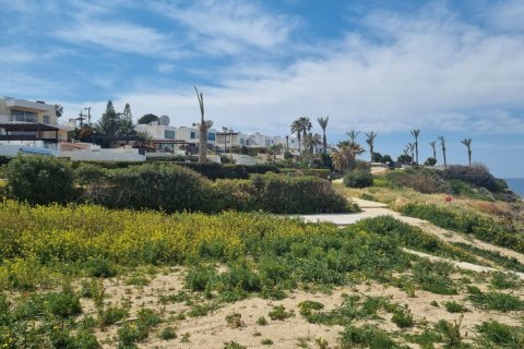 5 bedrooms Villa in Paphos, Cyprus No. 37817 4