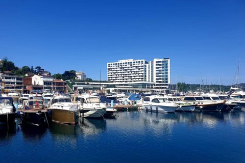 16 bedrooms Villa in Istanbul, Turkey No. 15046