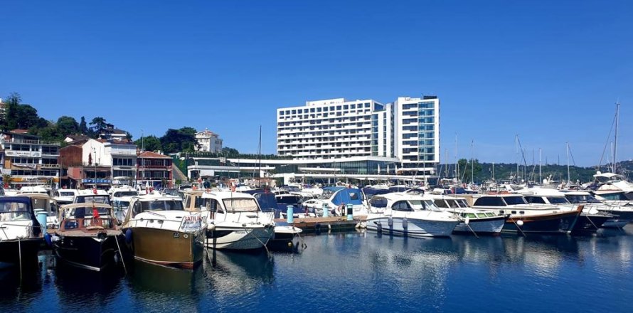 16 chambres Villa à Istanbul, Turkey No. 15046