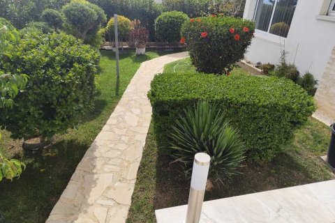 3 bedrooms Villa in Tala, Cyprus No. 101119 6
