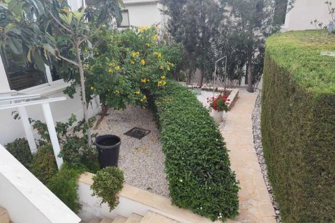3 bedrooms Villa in Tala, Cyprus No. 101119 8