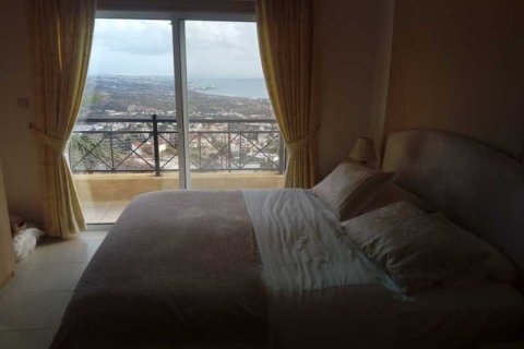 3 chambres Villa à Pegeia, Cyprus No. 84368 9