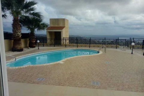 3 chambres Villa à Pegeia, Cyprus No. 84368 5