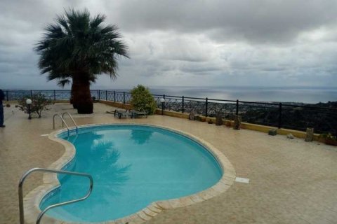 3 chambres Villa à Pegeia, Cyprus No. 84368 1