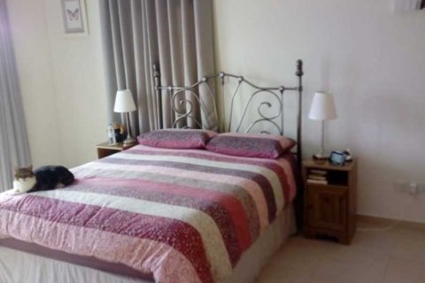 3 chambres Villa à Pegeia, Cyprus No. 84368 13