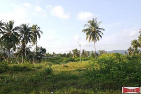 2444m² Land in Surat Thani, Thailand No. 95932 2