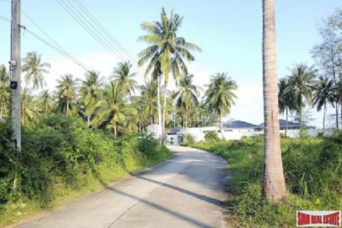 2444m² Land in Surat Thani, Thailand No. 95932 4