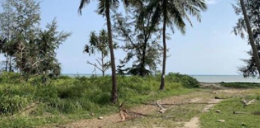 2444m² Land in Surat Thani, Thailand No. 95932