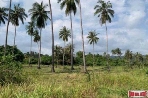 2444m² Land in Surat Thani, Thailand No. 95932 7