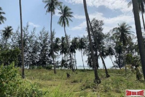 2444m² Land in Surat Thani, Thailand No. 95932 5