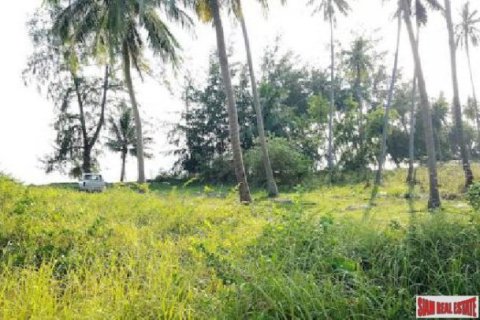 2444m² Land in Surat Thani, Thailand No. 95932 3