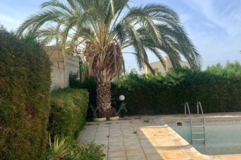 Вилла с 4 спальнями в Героскипу, Кипр №84405 7