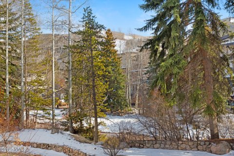 2 bedrooms Condo  in Vail, USA No. 104555 18
