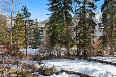 2 bedrooms Condo  in Vail, USA No. 104555 20