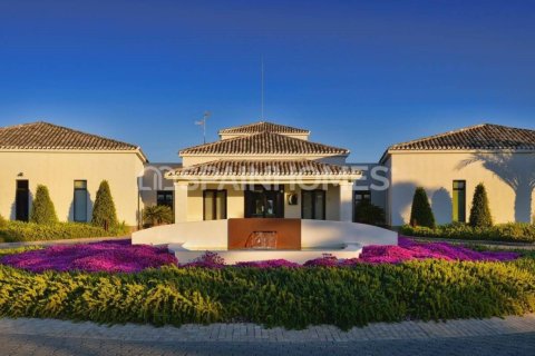 Вилла с 3 спальнями в Giao Hai, Вьетнам №88406 29