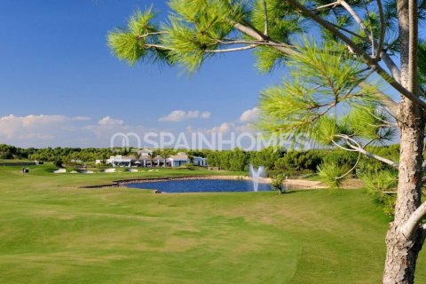 Вилла с 3 спальнями в Giao Hai, Вьетнам №88406 21