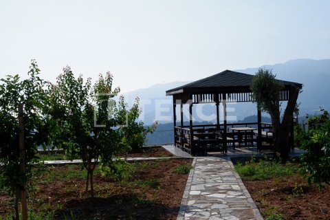 5 bedrooms Villa in Chau Lang, Vietnam No. 95483 24