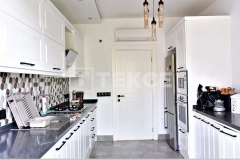 5 bedrooms Villa in Chau Lang, Vietnam No. 95483 5